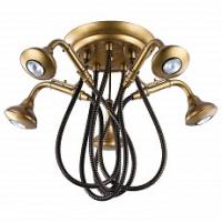 Потолочная люстра Lussole TOPGRADE Merrick LSP-9755 фото Потолочная люстра Lussole TOPGRADE Merrick LSP-9755. Фото №1