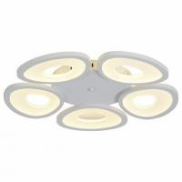 Потолочная люстра ST-Luce SL929 SL929.502.05 фото Потолочная люстра ST-Luce SL929 SL929.502.05