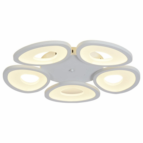 Потолочная люстра ST-Luce SL929 SL929.502.05. Фото №1