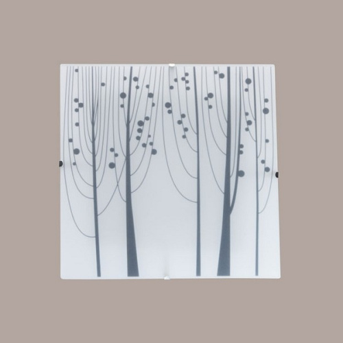 Накладной светильник MW-Light Васто 368011401. Фото №2