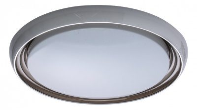 Накладной светильник MW-Light Ривз 7 674011901. Фото