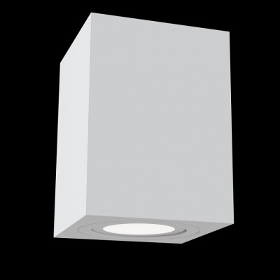 Накладной светильник Maytoni Atom C017CL-01W. Фото