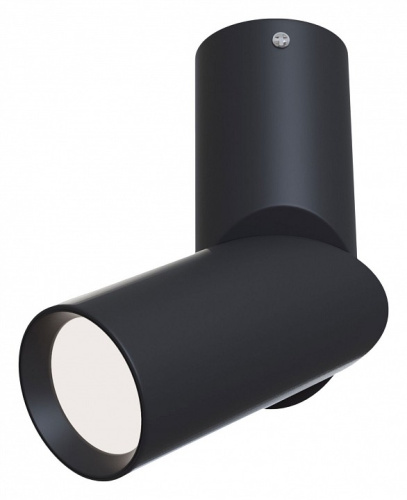 Спот Maytoni Dafne C027CL-L10B. Фото №1