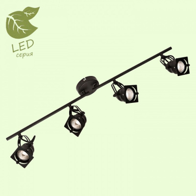 Спот Lussole Denver GRLSP-9119. Фото